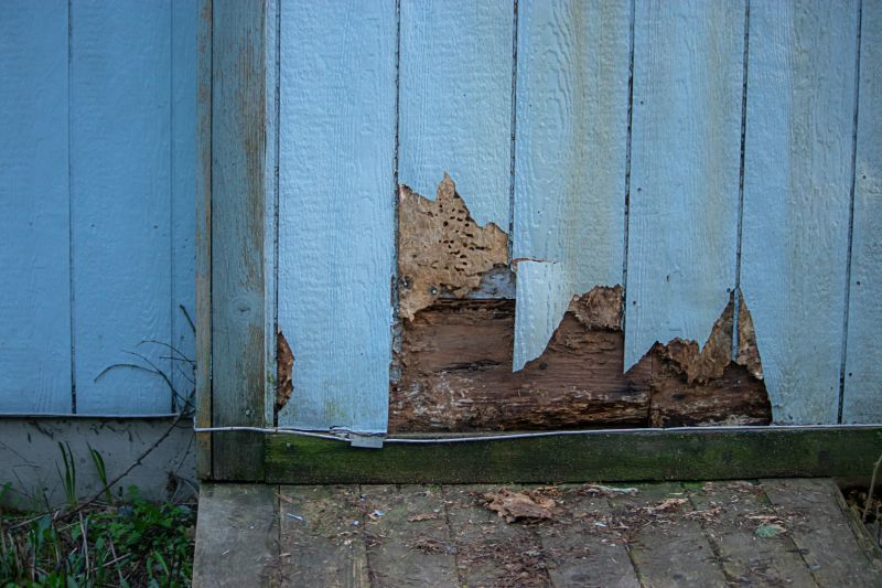 Siding Repair and Maintenance