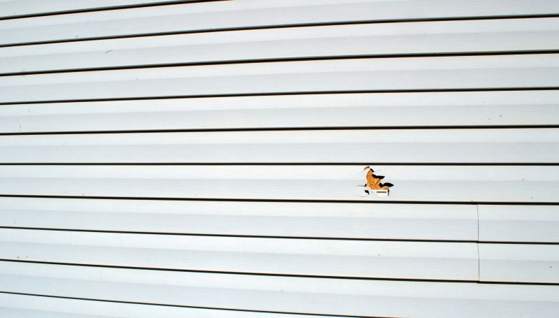 Sealing Vinyl Siding